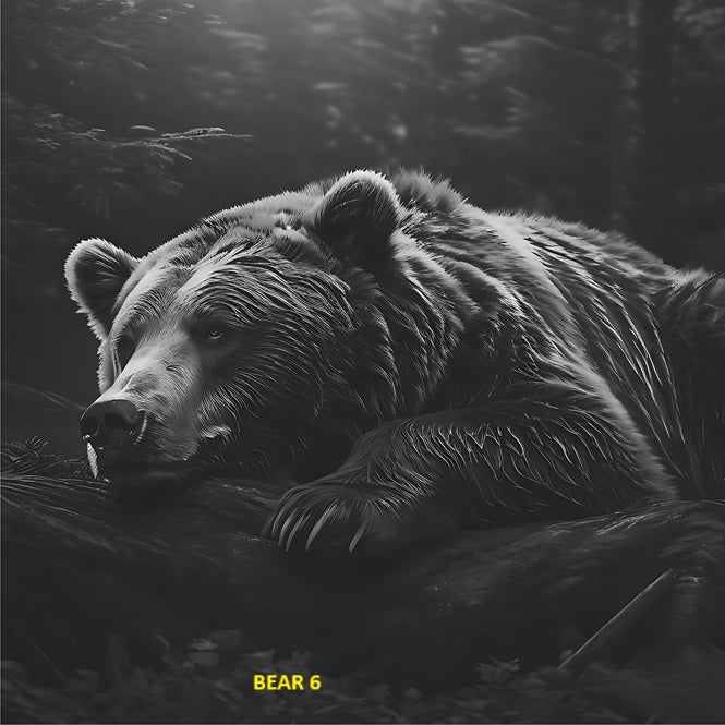 Your Choice Slate Coaster - Bear 6 image