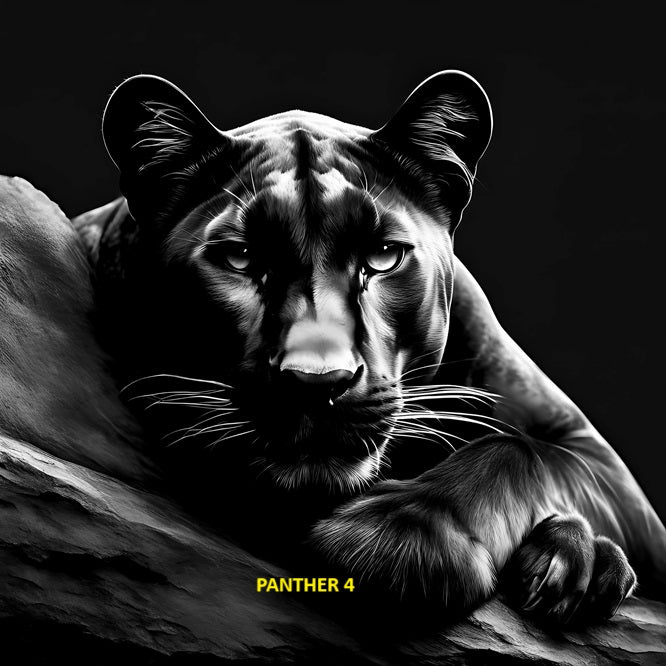 Your Choice Slate Coaster - Panther 4 image