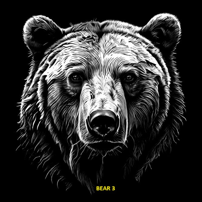Your Choice Slate Coaster - Bear 3 image