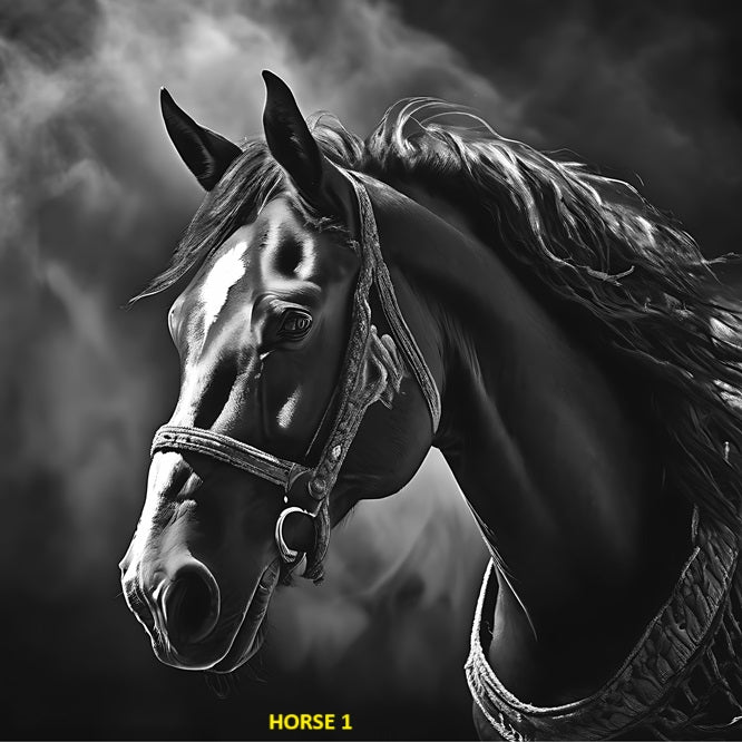 Your Choice Slate Coaster - Horse 1 image