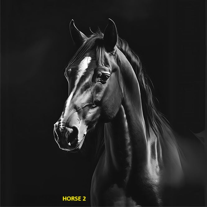 Your Choice Slate Coaster - Horse 2 image