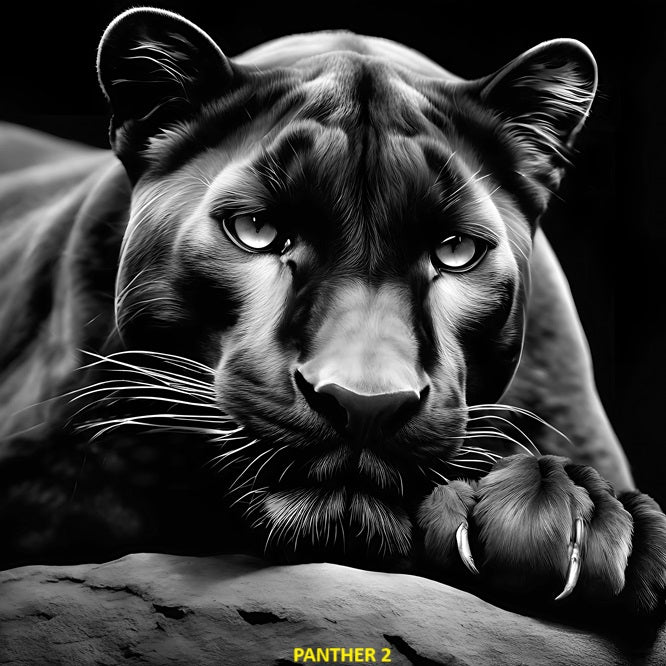 Your Choice Slate Coaster - Panther 2 image