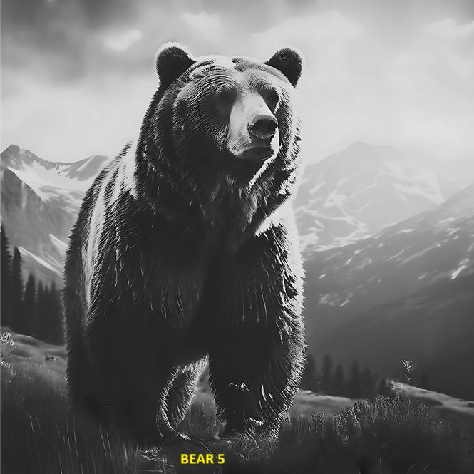 Your Choice Slate Coaster - Bear 5 image