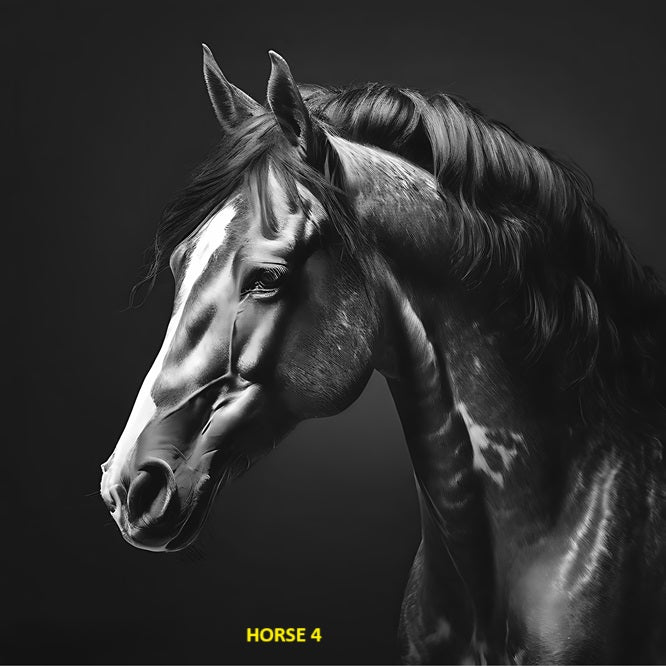 Your Choice Slate Coaster - Horse 4 image