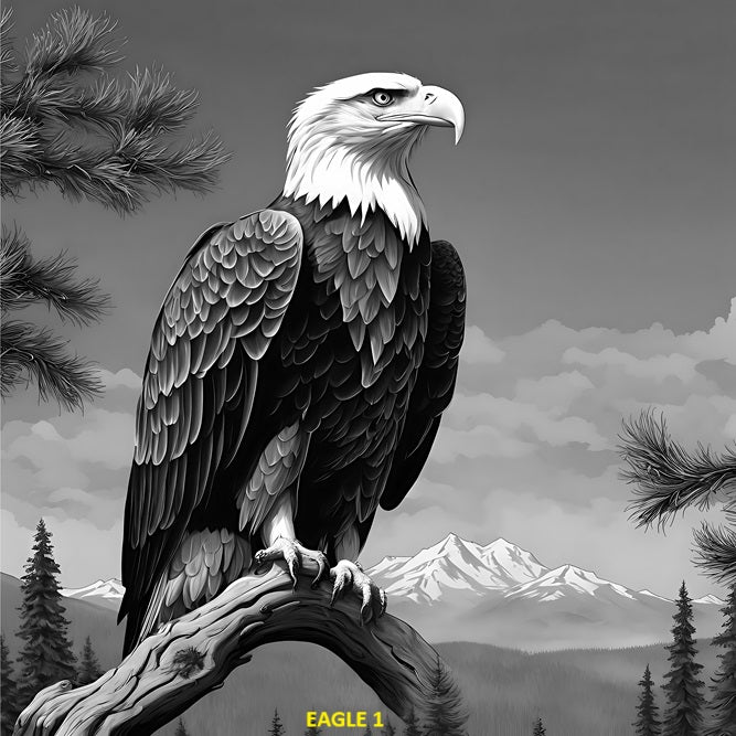 Your Choice Slate Coaster - Eagle 1 image